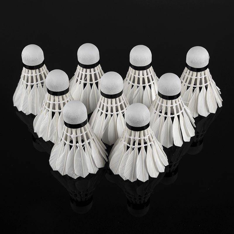 "Delwei badminton 12"